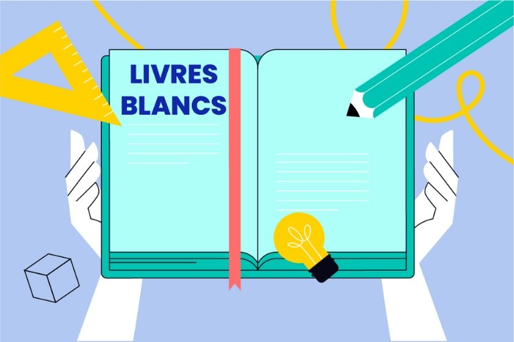 Image Page Livres Blancs