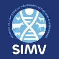 SIMV