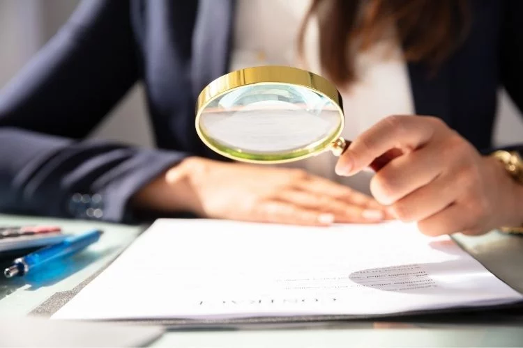 Image Article Blog Lms Personne Qui Regarde Une Feuille à La Loupe